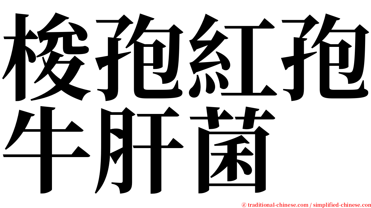 梭孢紅孢牛肝菌 serif font