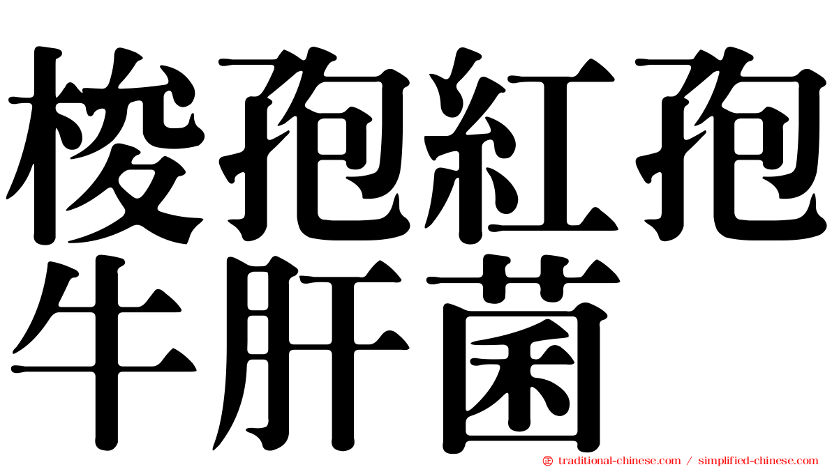 梭孢紅孢牛肝菌