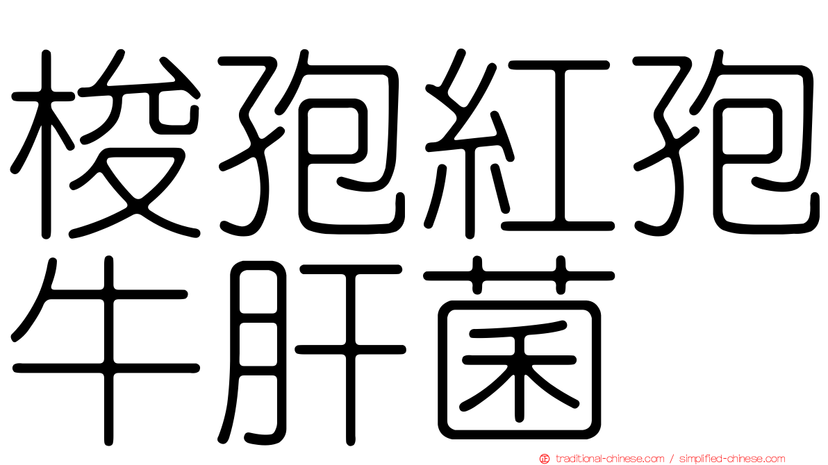 梭孢紅孢牛肝菌