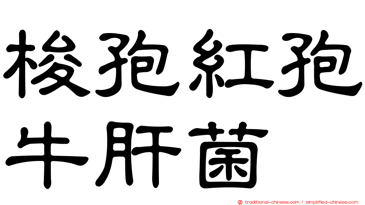 梭孢紅孢牛肝菌