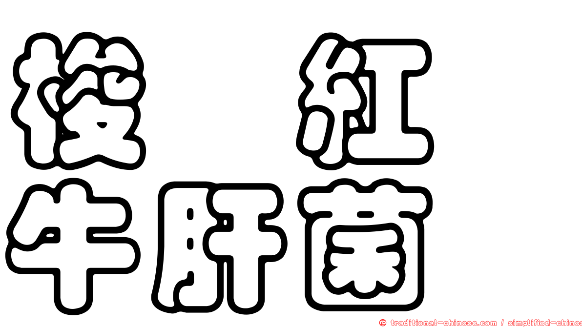 梭孢紅孢牛肝菌