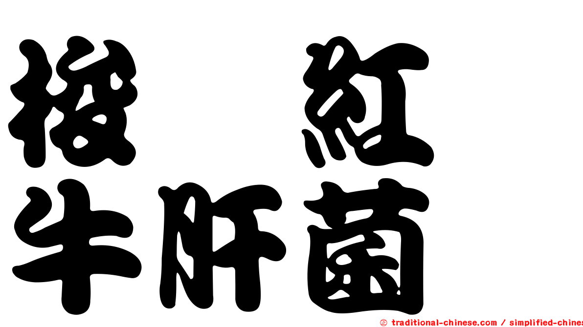 梭孢紅孢牛肝菌