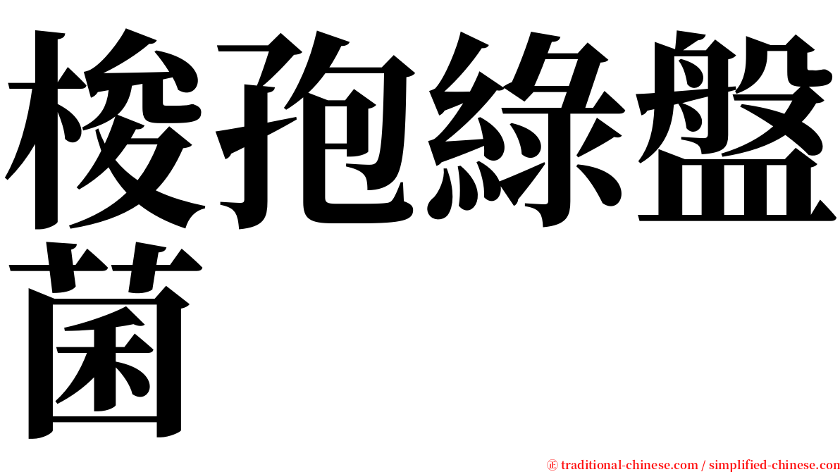 梭孢綠盤菌 serif font