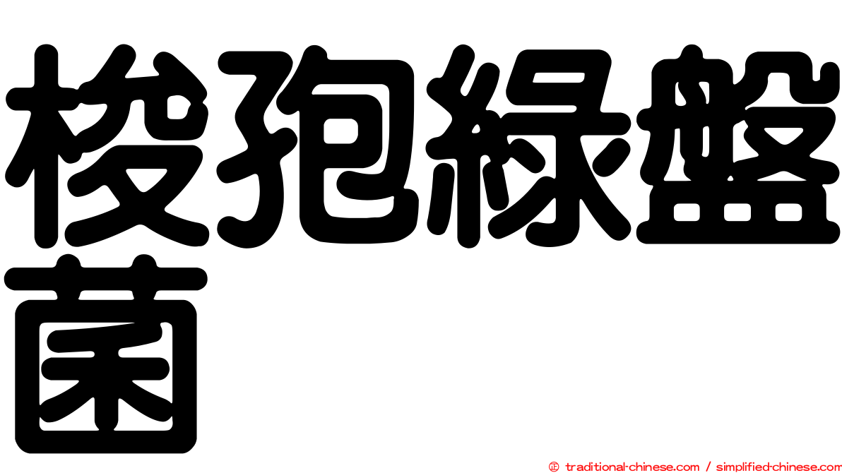 梭孢綠盤菌