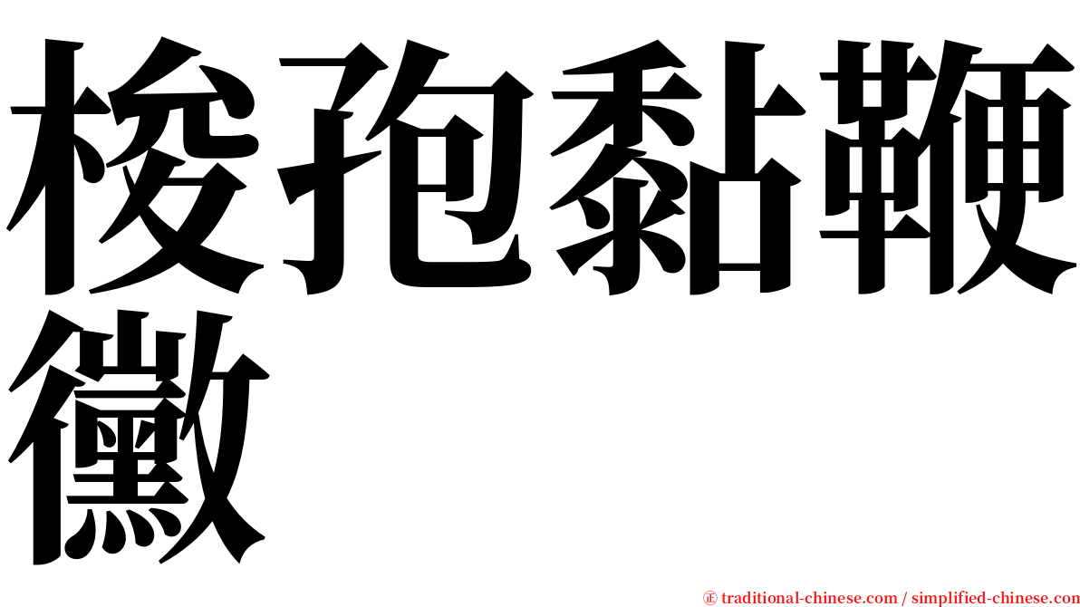 梭孢黏鞭黴 serif font