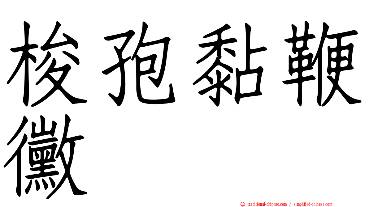 梭孢黏鞭黴