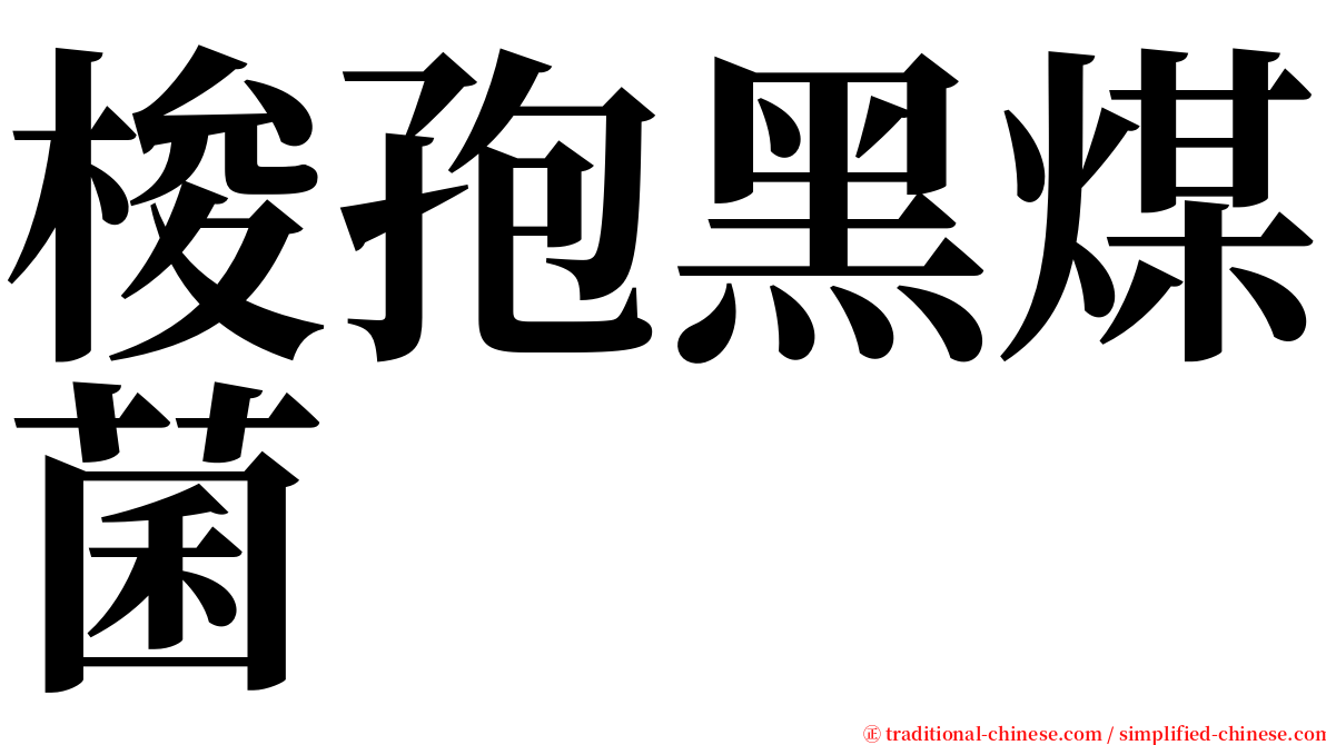 梭孢黑煤菌 serif font