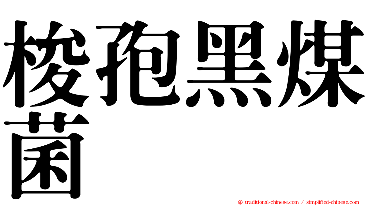 梭孢黑煤菌