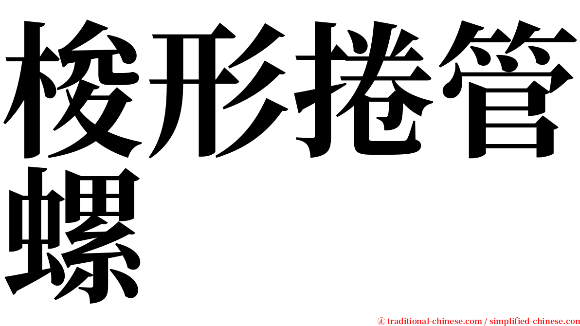 梭形捲管螺 serif font