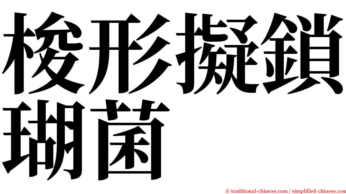 梭形擬鎖瑚菌 serif font