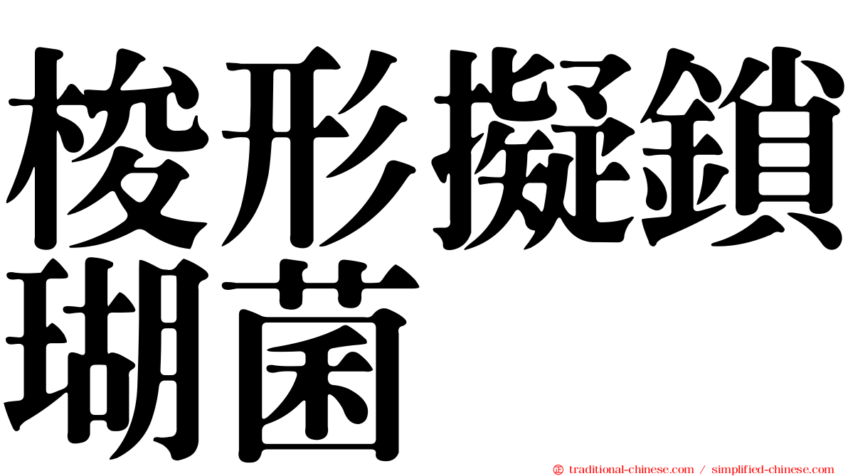 梭形擬鎖瑚菌