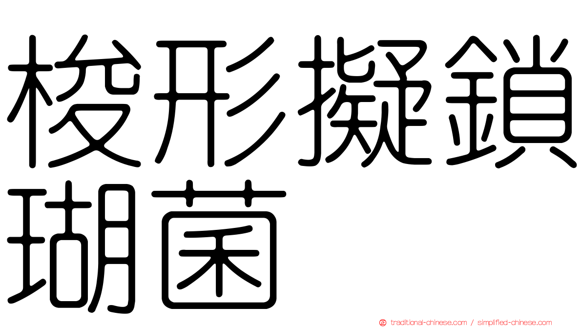 梭形擬鎖瑚菌
