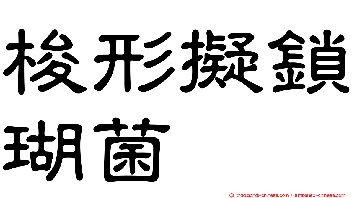 梭形擬鎖瑚菌