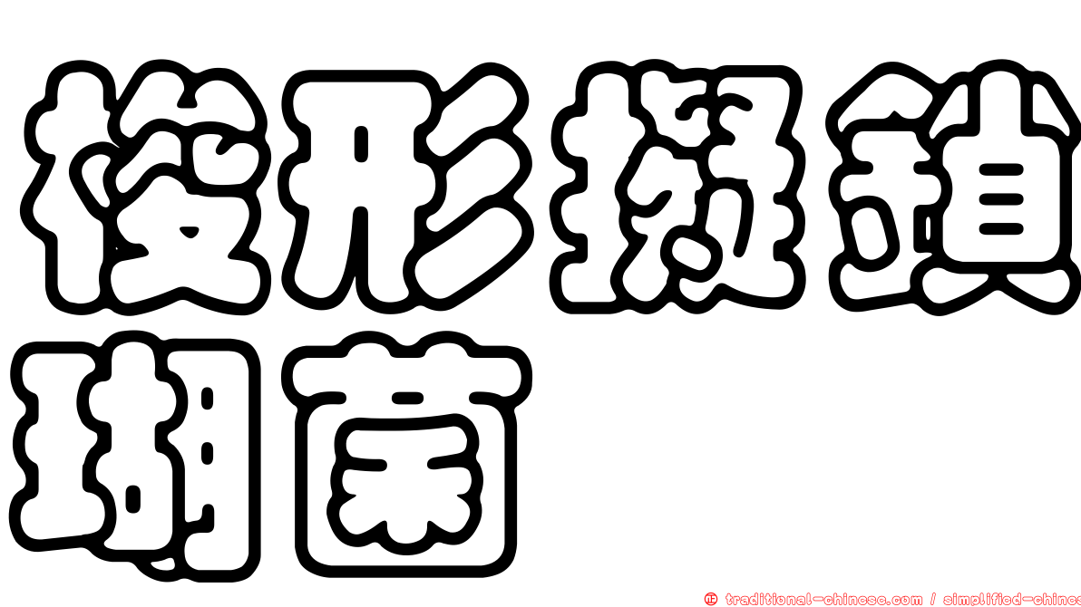 梭形擬鎖瑚菌