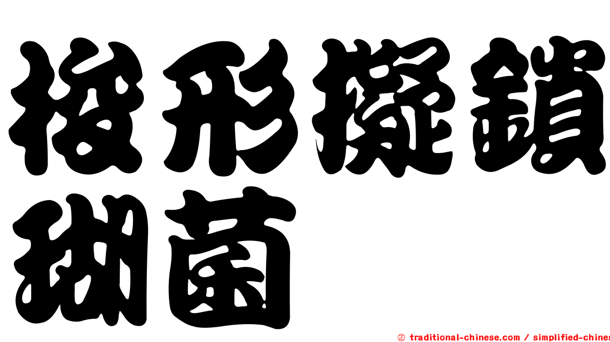 梭形擬鎖瑚菌