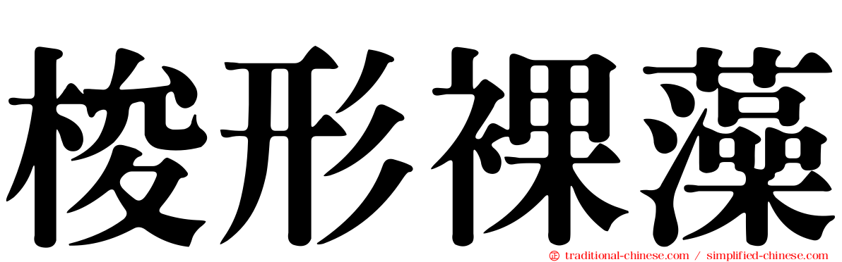 梭形裸藻