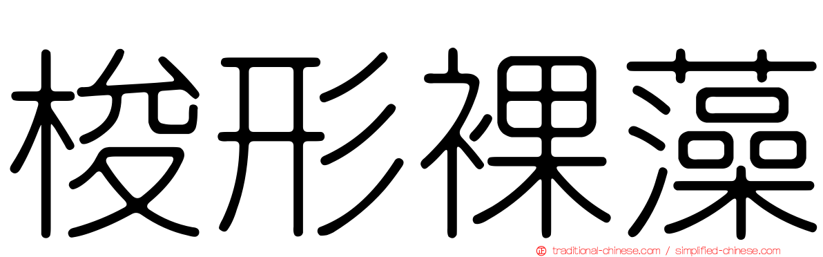 梭形裸藻