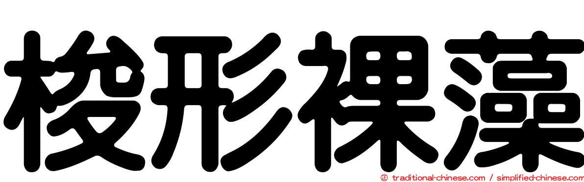 梭形裸藻