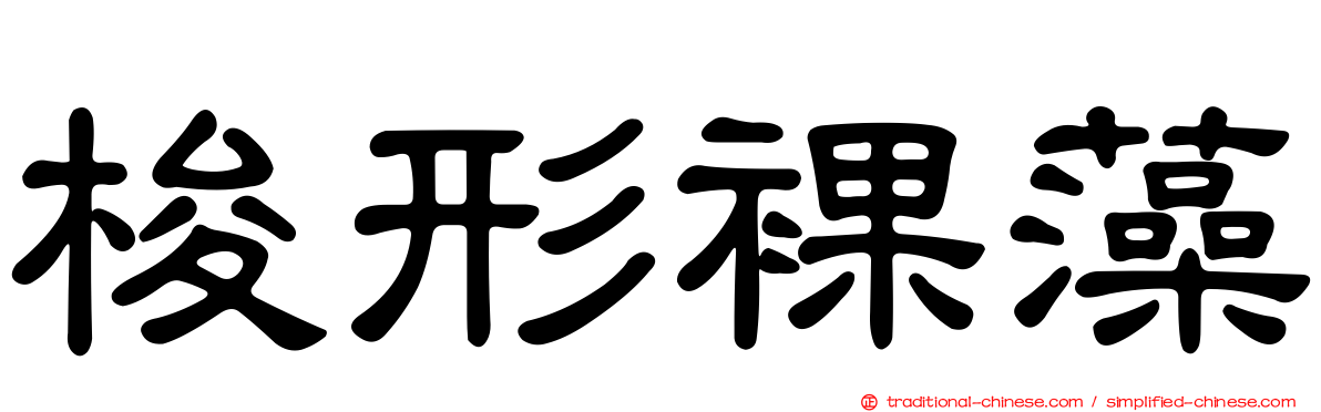 梭形裸藻