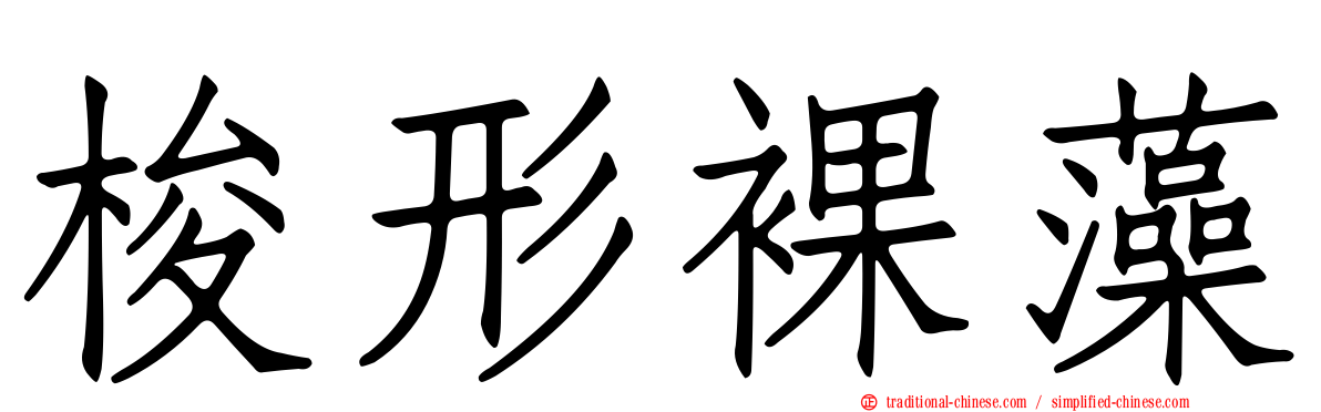 梭形裸藻