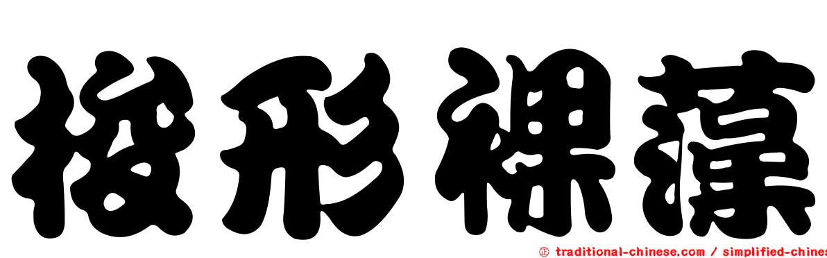 梭形裸藻
