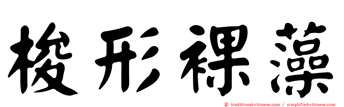 梭形裸藻
