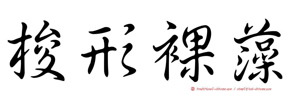梭形裸藻