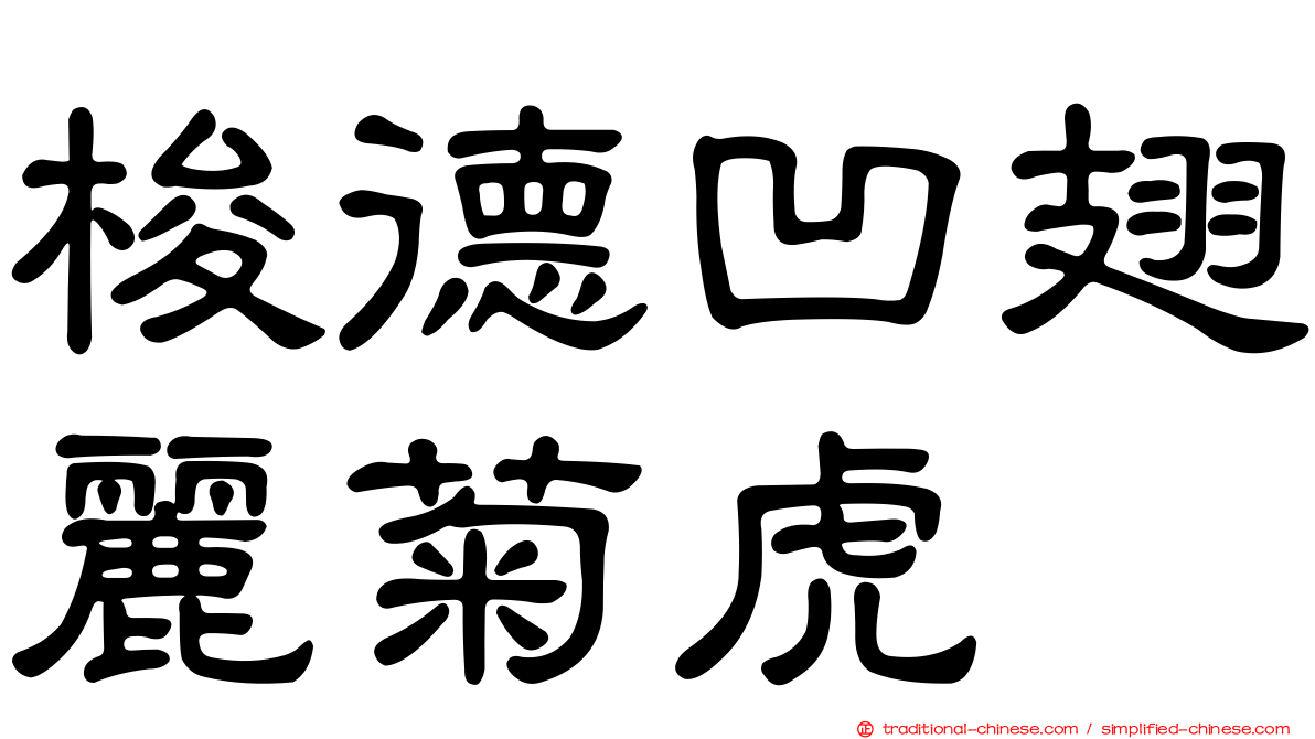 梭德凹翅麗菊虎