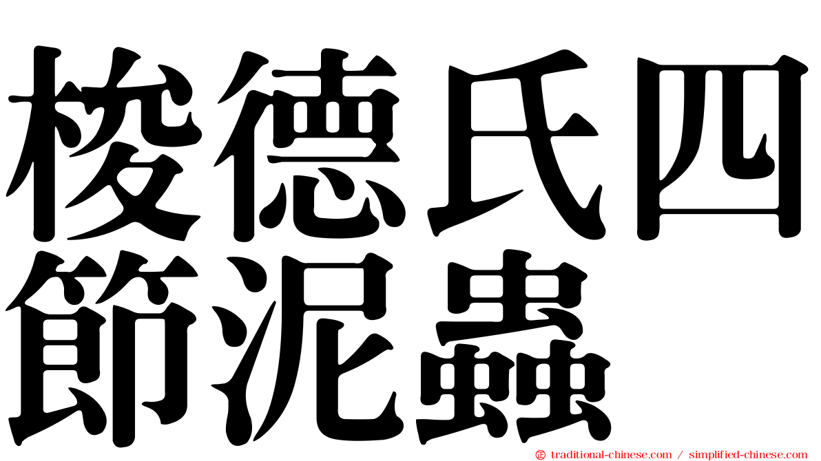 梭德氏四節泥蟲