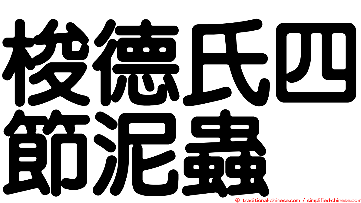 梭德氏四節泥蟲