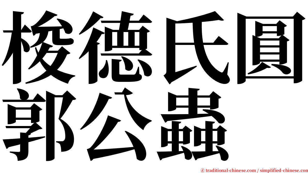 梭德氏圓郭公蟲 serif font