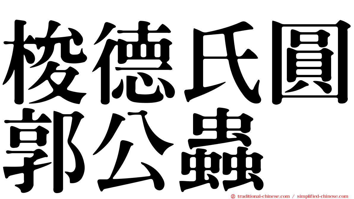 梭德氏圓郭公蟲