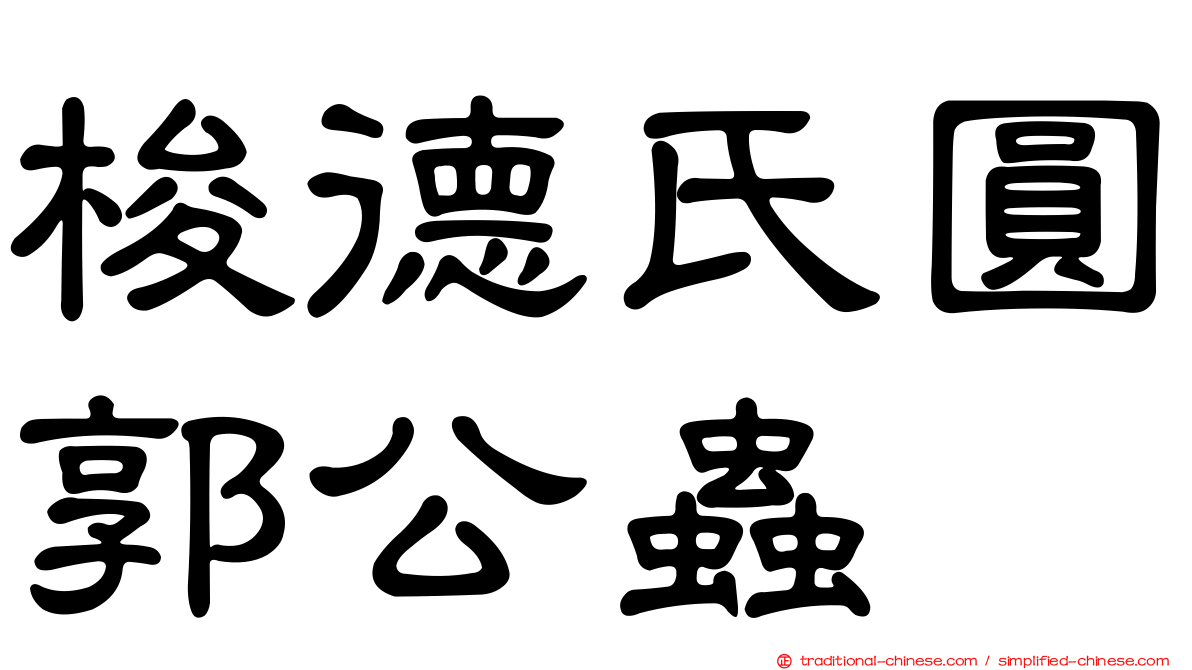 梭德氏圓郭公蟲