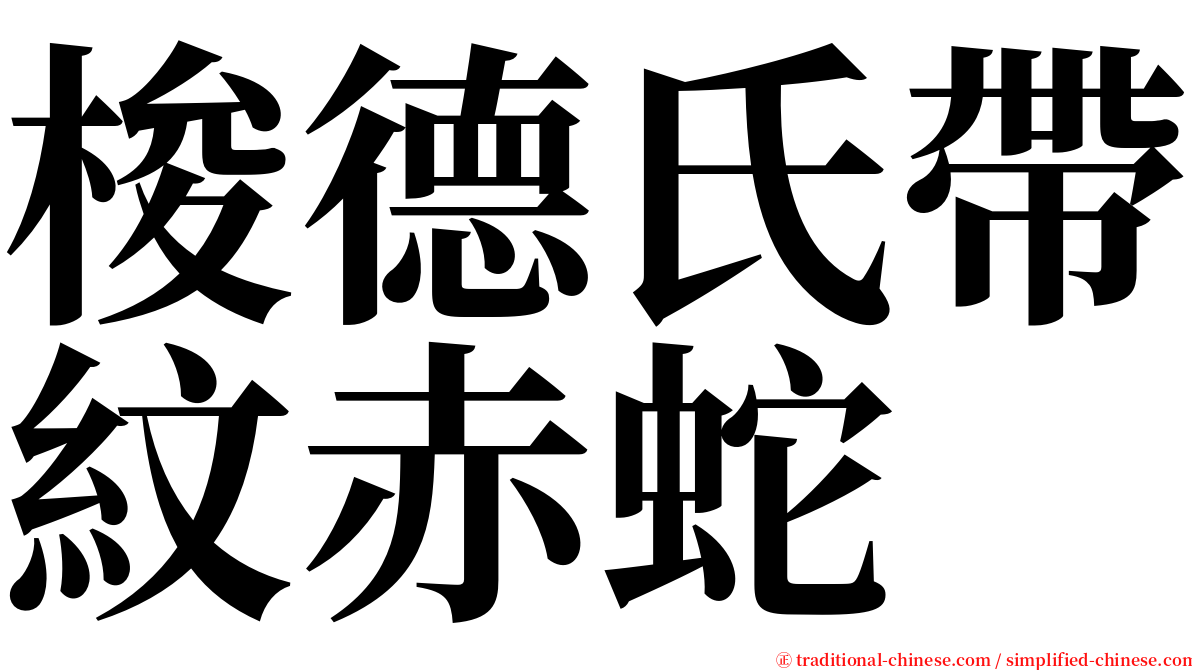 梭德氏帶紋赤蛇 serif font