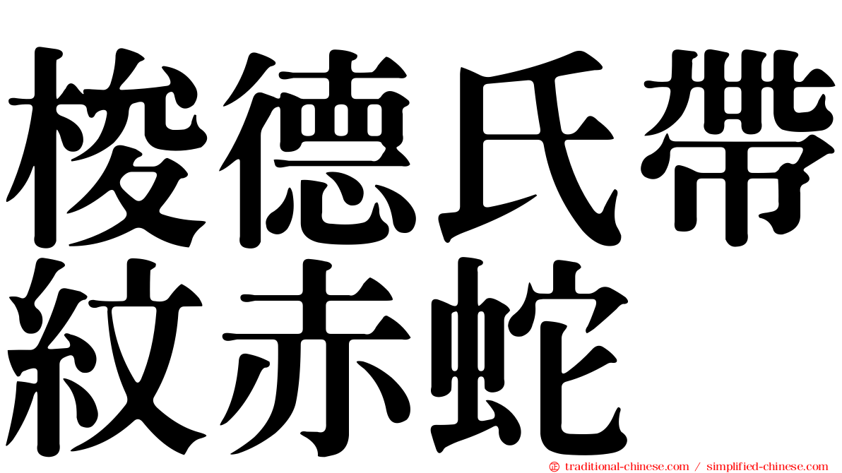 梭德氏帶紋赤蛇