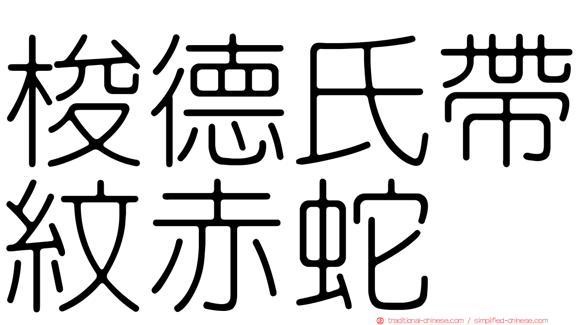 梭德氏帶紋赤蛇