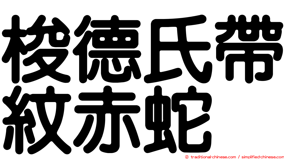 梭德氏帶紋赤蛇