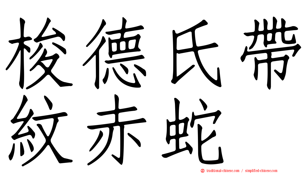 梭德氏帶紋赤蛇