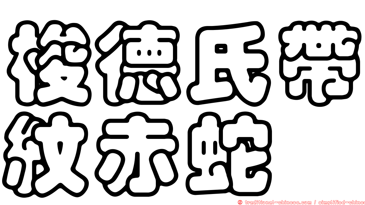 梭德氏帶紋赤蛇