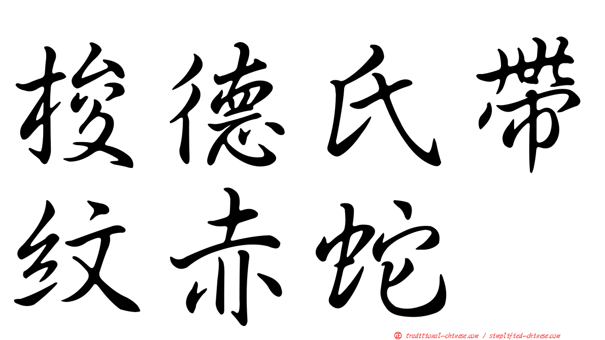 梭德氏帶紋赤蛇
