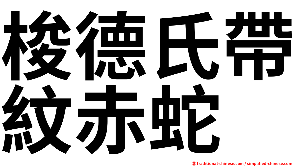梭德氏帶紋赤蛇