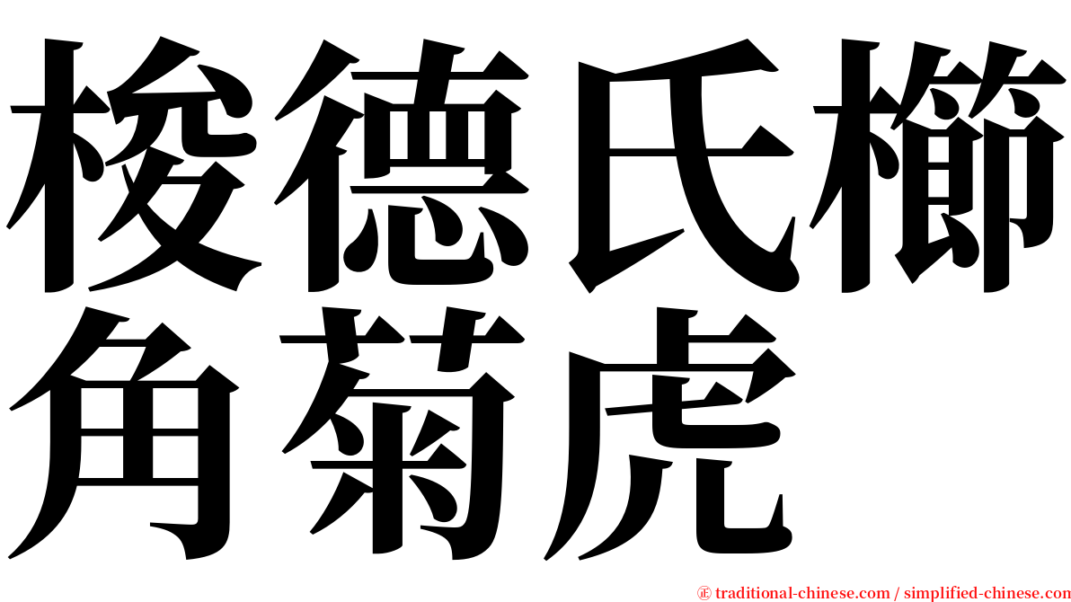 梭德氏櫛角菊虎 serif font