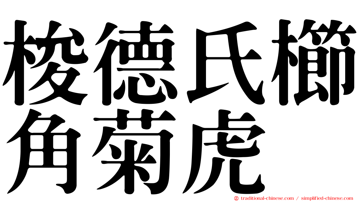 梭德氏櫛角菊虎