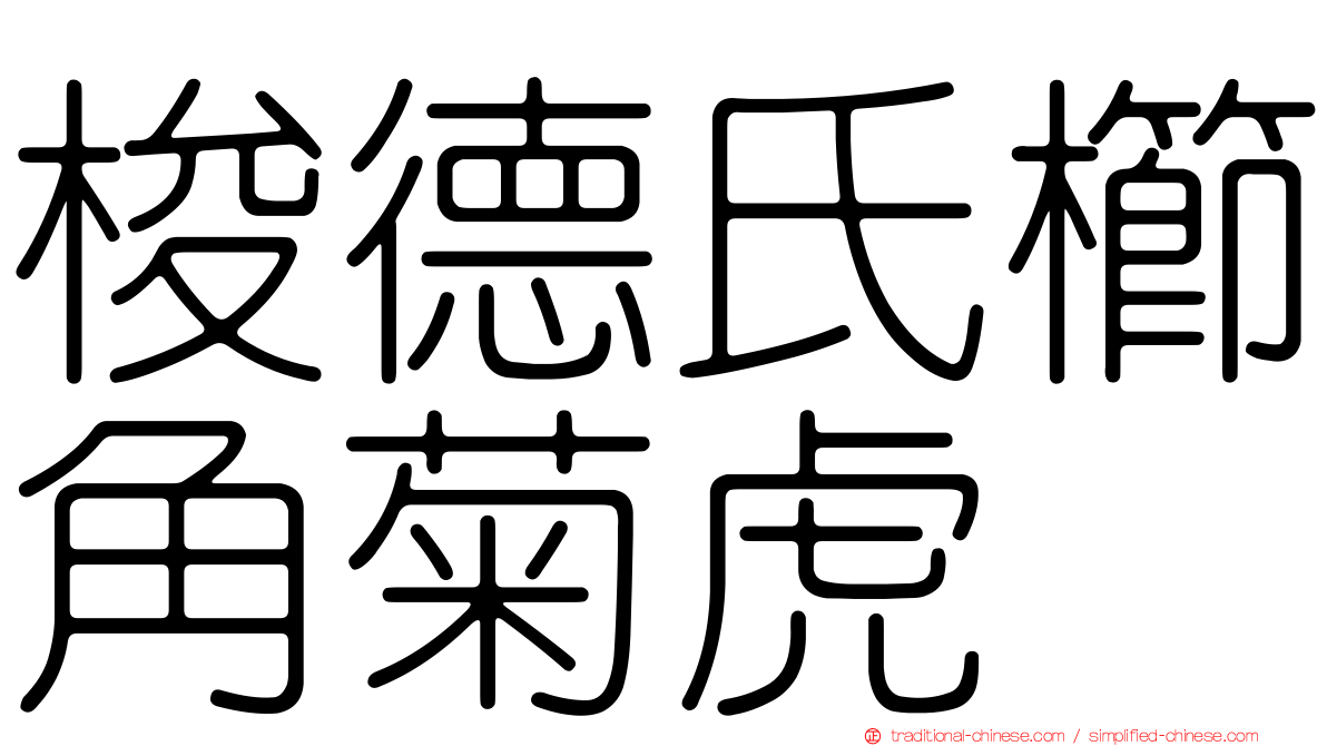 梭德氏櫛角菊虎