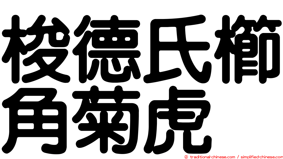 梭德氏櫛角菊虎