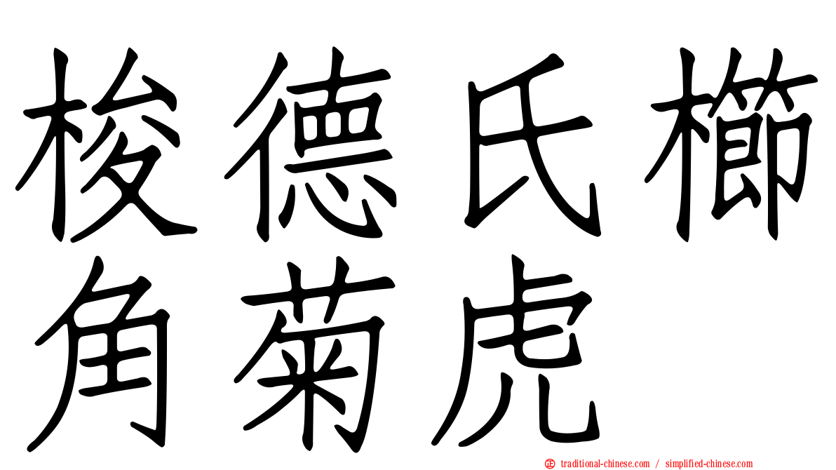 梭德氏櫛角菊虎