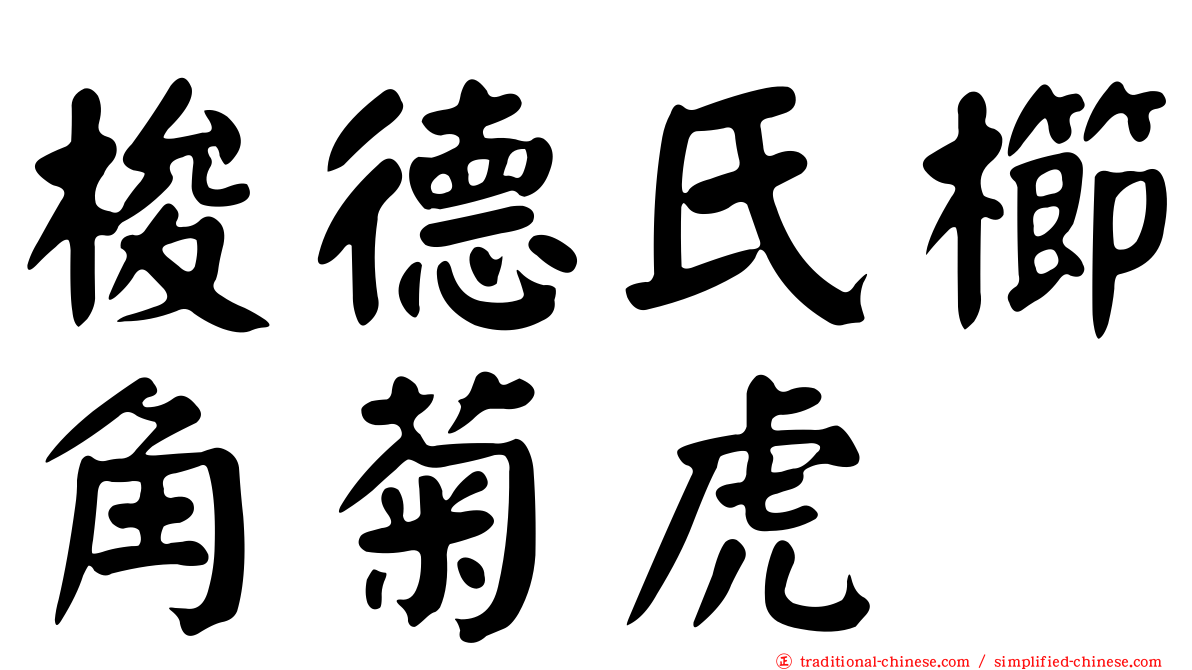 梭德氏櫛角菊虎