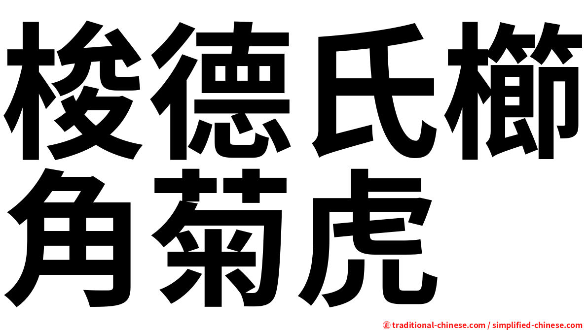 梭德氏櫛角菊虎