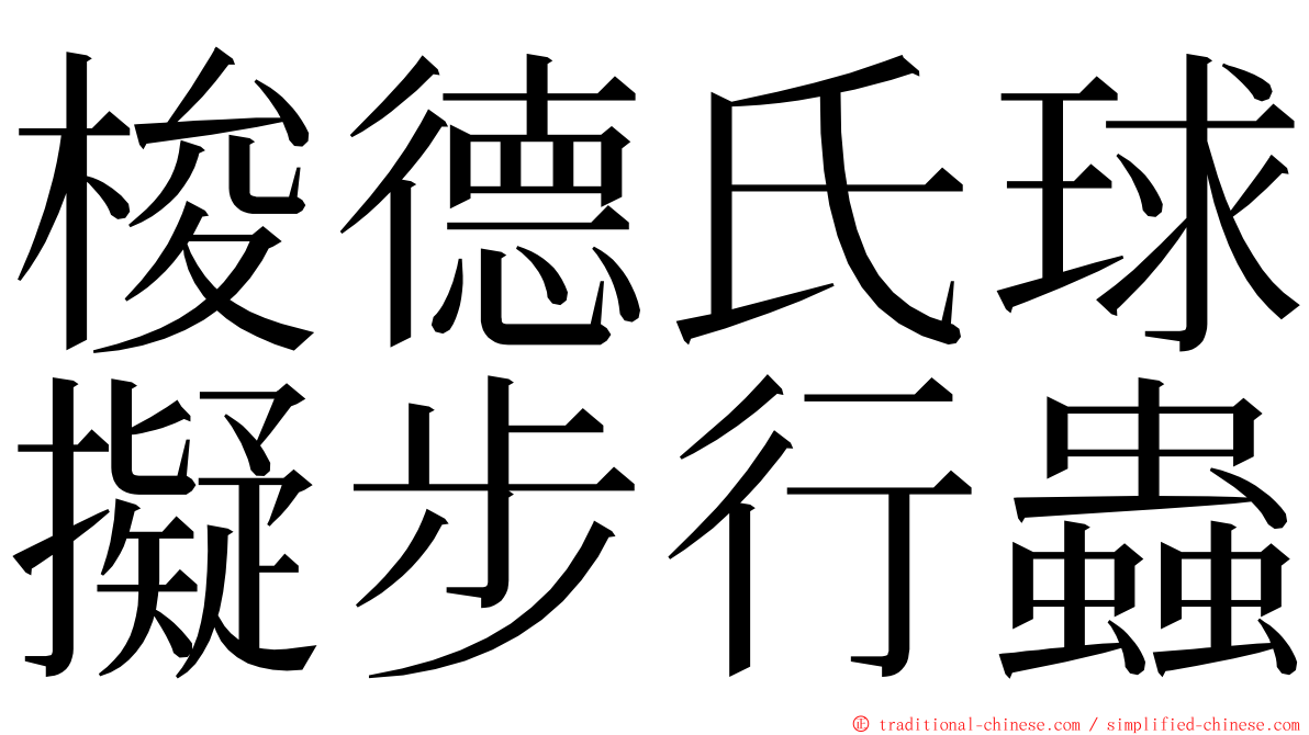 梭德氏球擬步行蟲 ming font