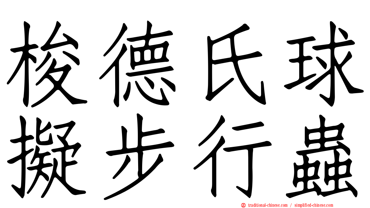 梭德氏球擬步行蟲